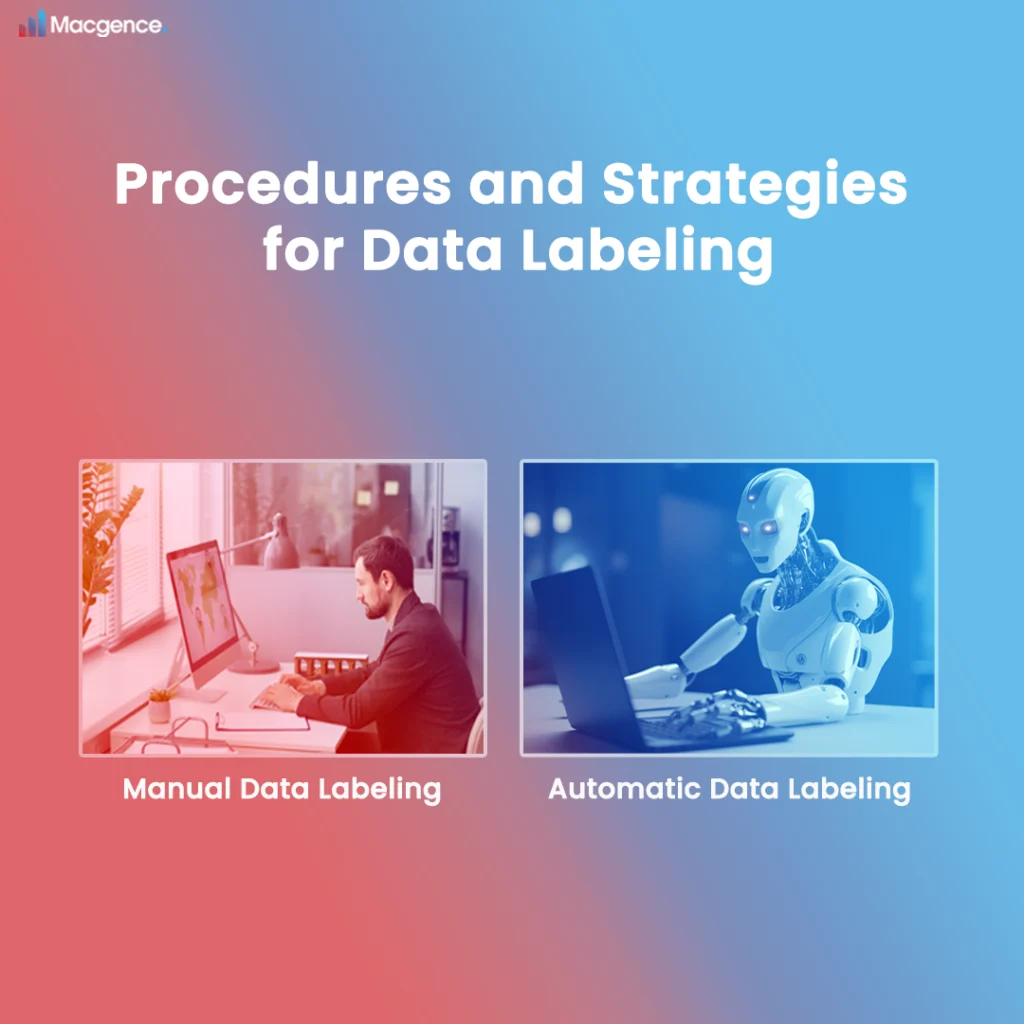 Procedures and Strategies for Data Labeling