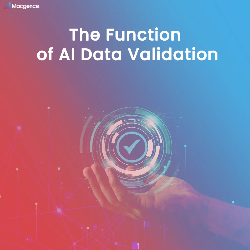 The Function of AI Data Validation