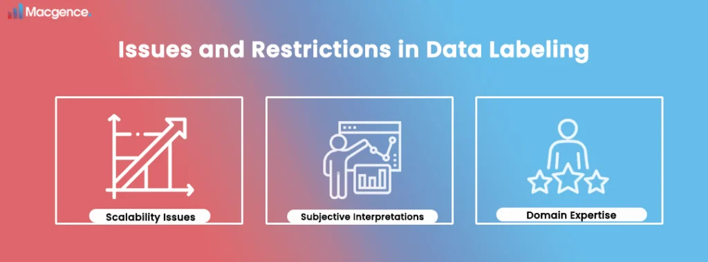 Issues and Restrictions in Data Labeling