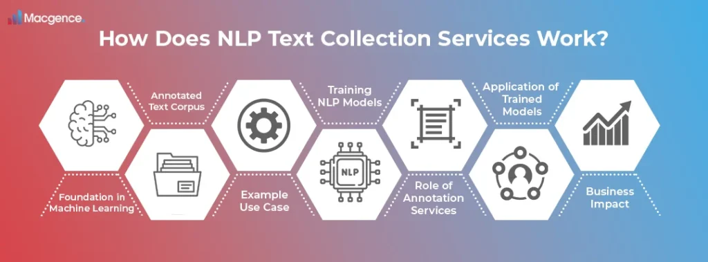 How Does NLP Text Collection Services Work