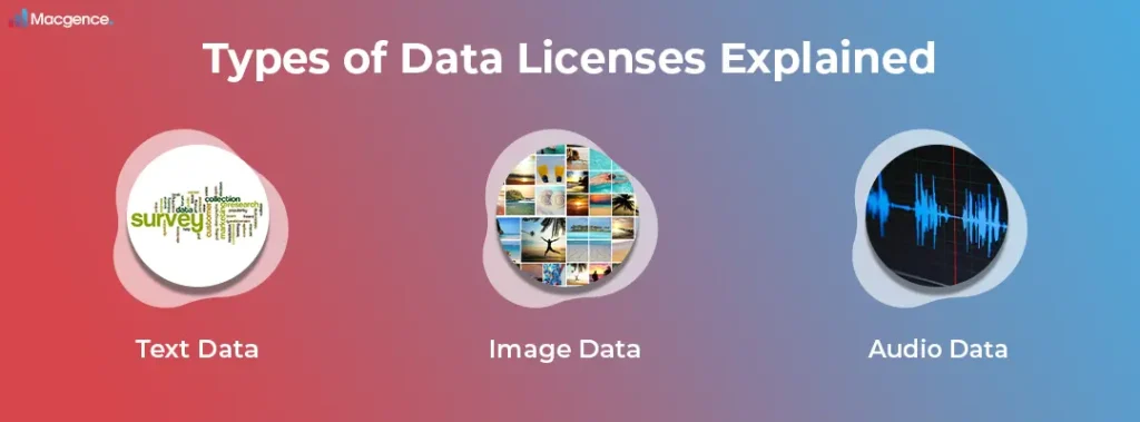 Types of Data Licenses Explained