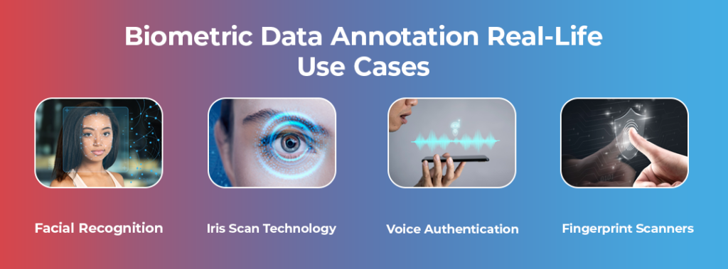 Biometric Data Annotation Real-Life Use Cases