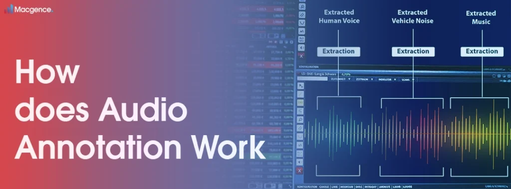 How does Audio Annotation work