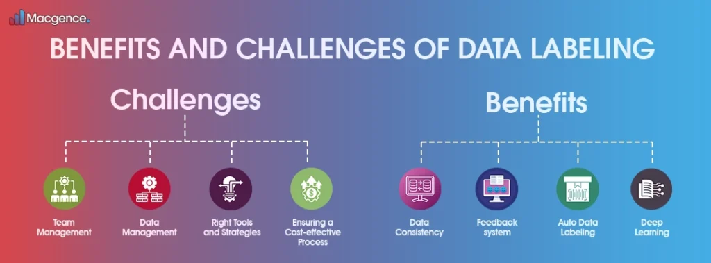 Benefits and Challenges of Data Labeling