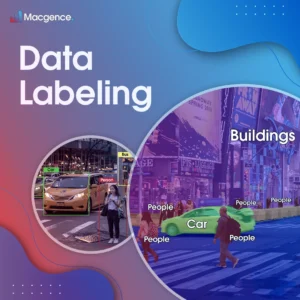 what is data labeling