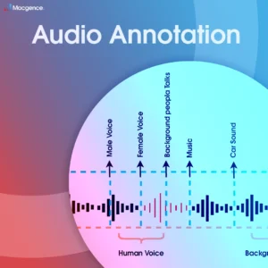 Audio Annotation Insta conclusion audio annotation