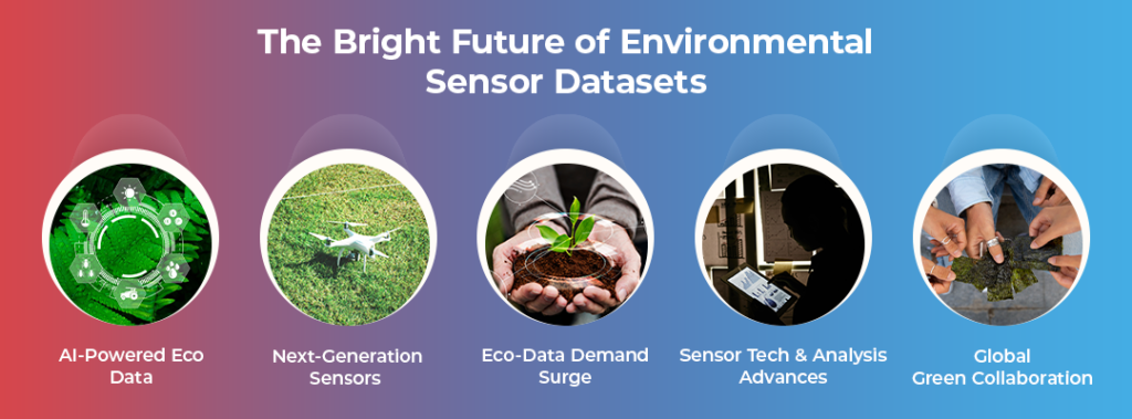 The Bright Future of Environmental Sensor Datasets